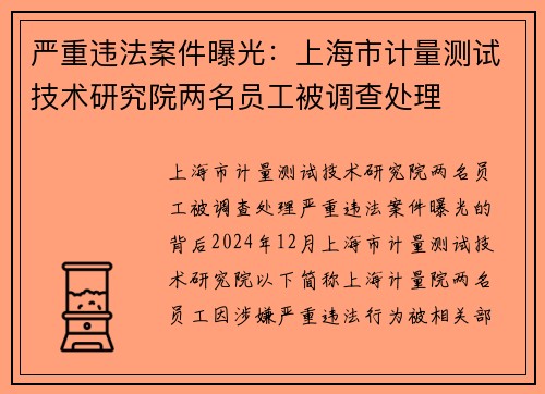 严重违法案件曝光：上海市计量测试技术研究院两名员工被调查处理
