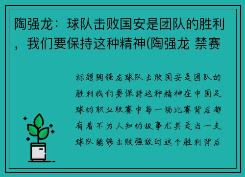 陶强龙：球队击败国安是团队的胜利，我们要保持这种精神(陶强龙 禁赛)